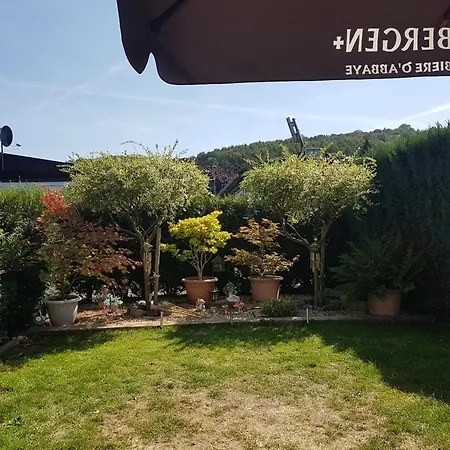 Kemping Avec Piscine Et Deux Yvoir